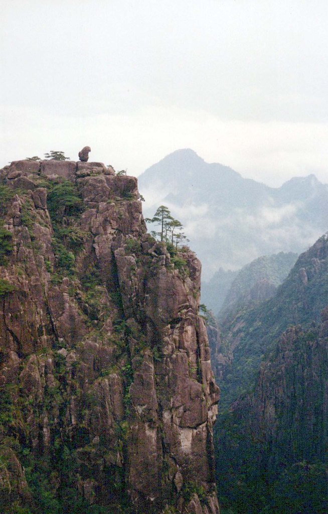 Monkey Gazing on Huangshan (Sea of Clouds)