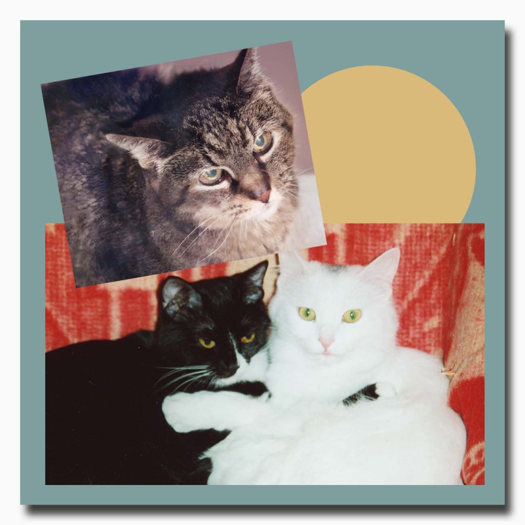 Part Three Book Photos